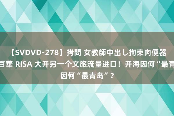 【SVDVD-278】拷問 女教師中出し拘束肉便器 仁科百華 RISA 大开另一个文旅流量进口！开海因何“最青岛”？