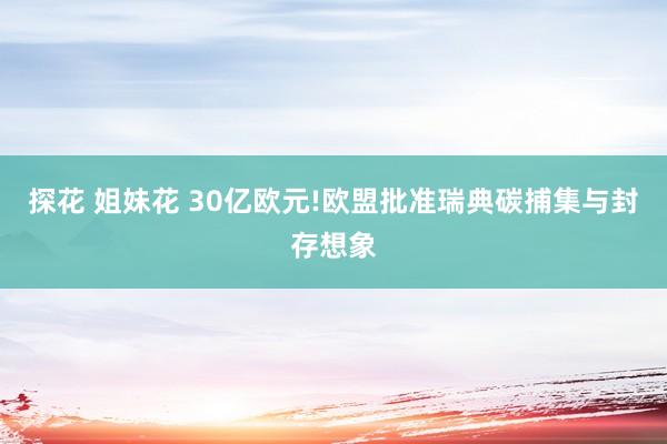 探花 姐妹花 30亿欧元!欧盟批准瑞典碳捕集与封存想象