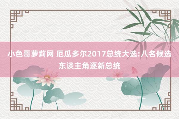 小色哥萝莉网 厄瓜多尔2017总统大选:八名候选东谈主角逐新总统