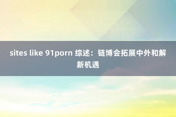 sites like 91porn 综述：链博会拓展中外和解新机遇