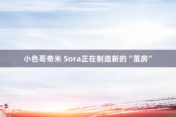 小色哥奇米 Sora正在制造新的“茧房”