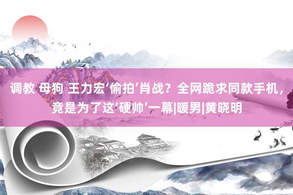 调教 母狗 王力宏‘偷拍’肖战？全网跪求同款手机，竟是为了这‘硬帅’一幕|暖男|黄晓明