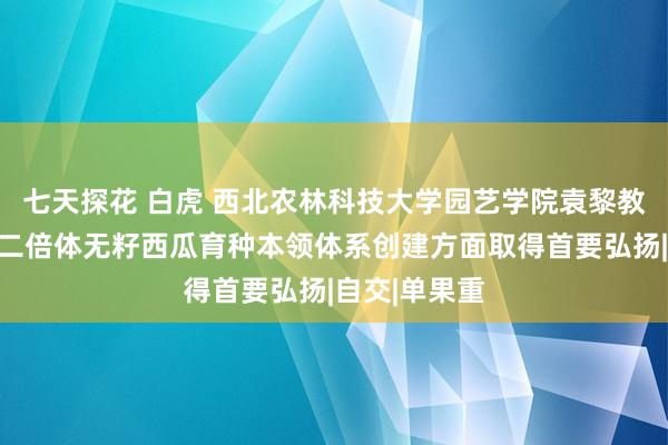 七天探花 白虎 西北农林科技大学园艺学院袁黎教讲课题组在二倍体无籽西瓜育种本领体系创建方面取得首要弘扬|自交|单果重