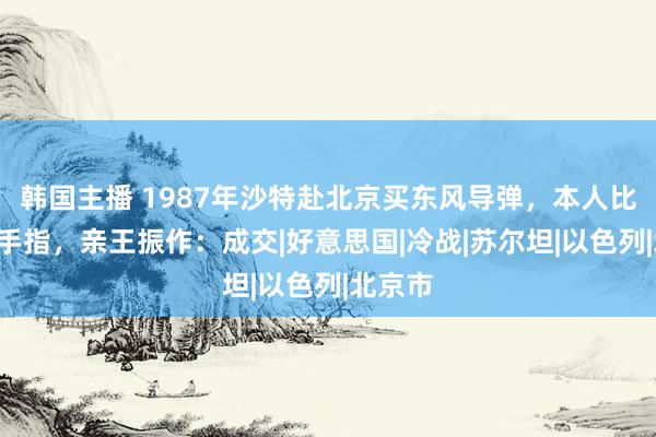 韩国主播 1987年沙特赴北京买东风导弹，本人比出1根手指，亲王振作：成交|好意思国|冷战|苏尔坦|以色列|北京市